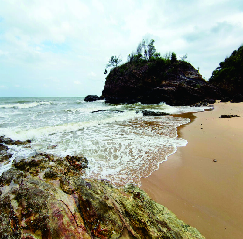 那些書頁留下來的 心影